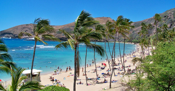 Hawaii beach