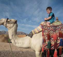 Noah on a camel
