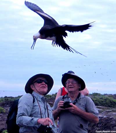 Only on Galapagos Island